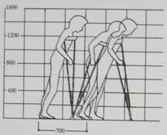 人体工程学基础-5、无障碍环境设计